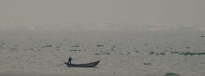 Read more about the article More Sea Than Tar
