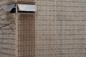 Read more about the article Shelter